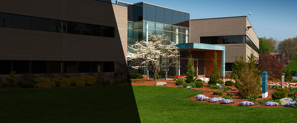 Larchmont Landscapers